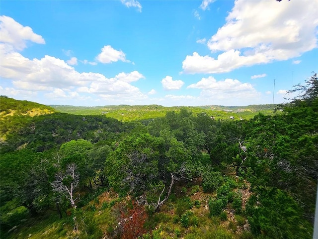 918 Terrace Mountain Dr, West Lake Hills, TX 78746 - photo 3