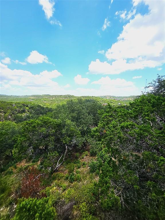 918 Terrace Mountain Dr, West Lake Hills, TX 78746 - photo 5