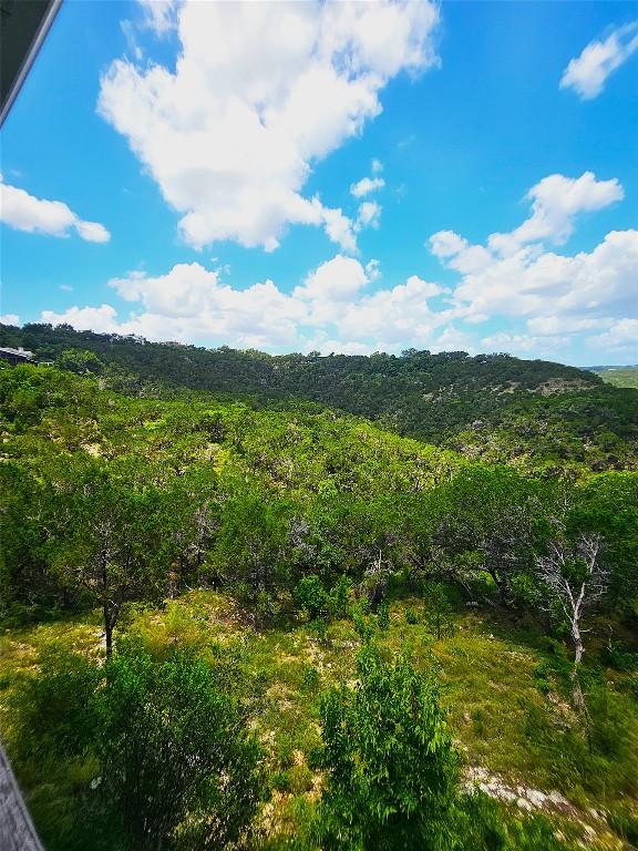 918 Terrace Mountain Dr, West Lake Hills, TX 78746 - photo 7