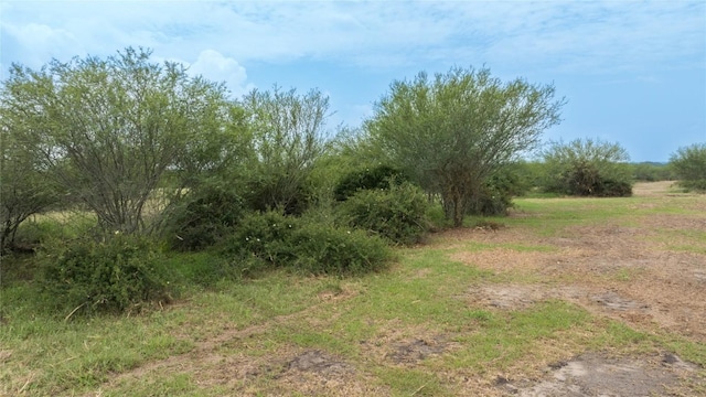 LOT14 Concrete Edgar Rd, Cuero, TX 77954 - photo 4