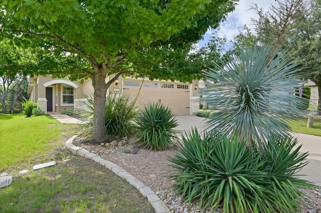 319 Salado Creek Ln, Georgetown, TX 78633 - view of grassy yard featuring driveway and an attached garage