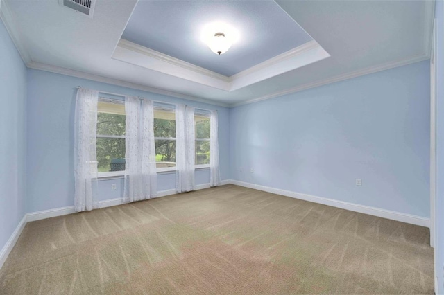 319 Salado Creek Ln, Georgetown, TX 78633 - unfurnished room featuring crown molding, carpet floors, and a raised ceiling