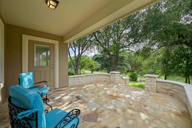 319 Salado Creek Ln, Georgetown, TX 78633 - view of patio featuring view of wooded area