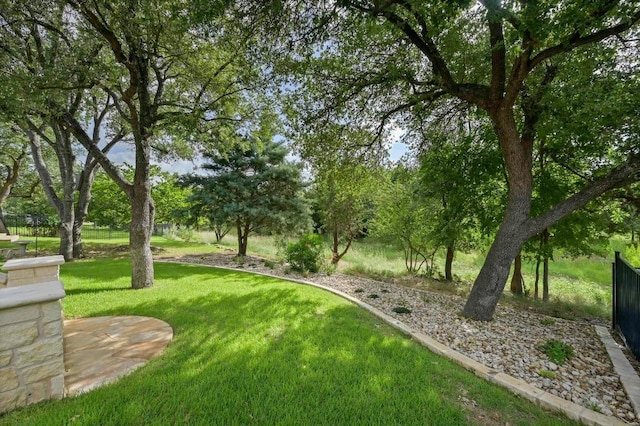 319 Salado Creek Ln, Georgetown, TX 78633 - view of grassy yard