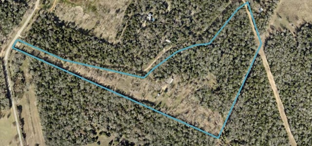 1231 Peach Creek Rd, Waelder, TX 78959 - photo 19