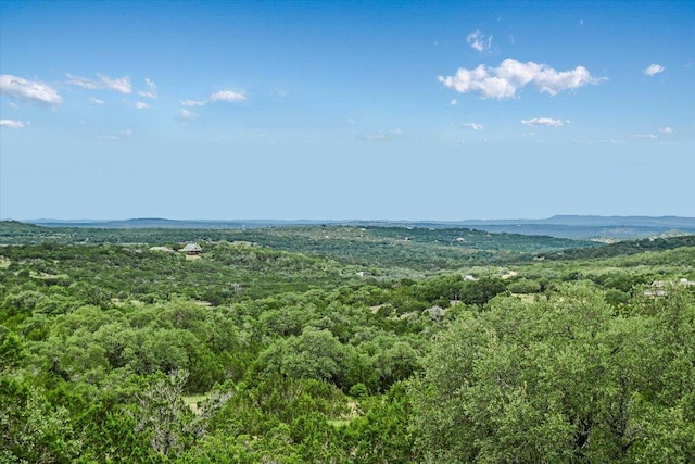 300 Greystone Rd, Dripping Springs, TX 78620 - photo 22