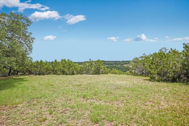 300 Greystone Rd, Dripping Springs, TX 78620 - photo 26