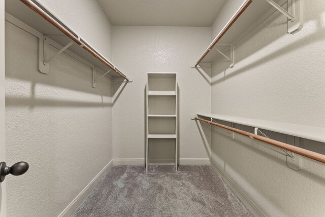 7606 Hickman St, Temple, TX 76502 - spacious closet featuring carpet floors