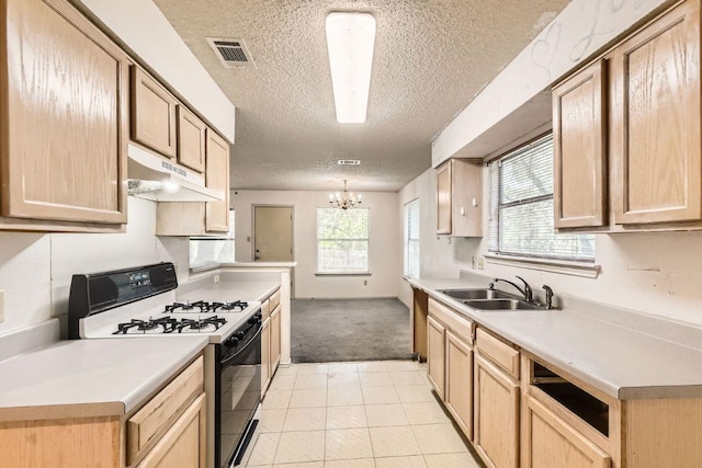 10421 Cayuse Cv, Austin, TX 78748 - photo 12