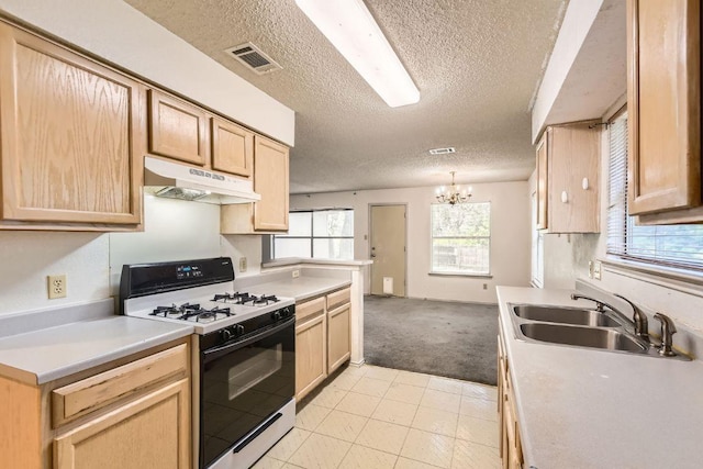 10421 Cayuse Cv, Austin, TX 78748 - photo 13