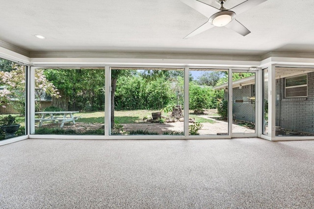 3806 Las Cienega Blvd, Temple, TX 76502 - unfurnished sunroom with healthy amount of natural light