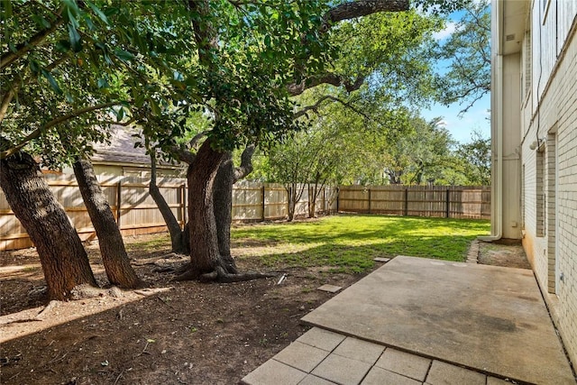 1217 Dove Cir, Cedar Park, TX 78613 - fenced backyard with a patio