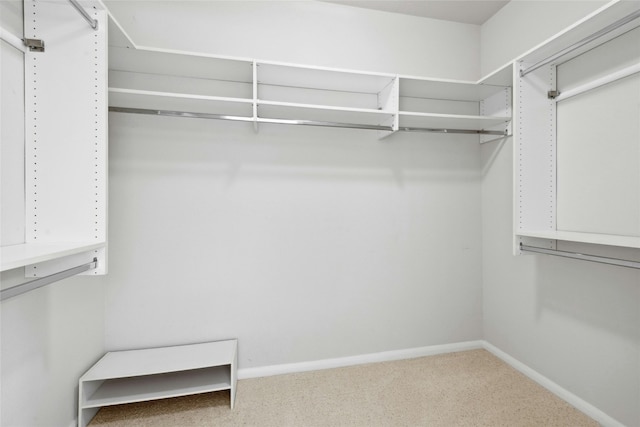 140 Whispering Wind Dr, Georgetown, TX 78633 - walk in closet with carpet