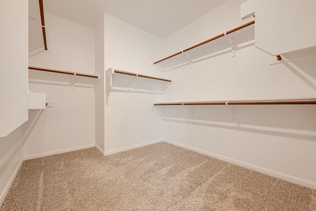 1017 Sundrops St, Leander, TX 78641 - walk in closet featuring carpet