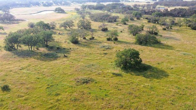 236 Blackbuck Ridge Dr, Lampasas, TX 76550 - photo 6