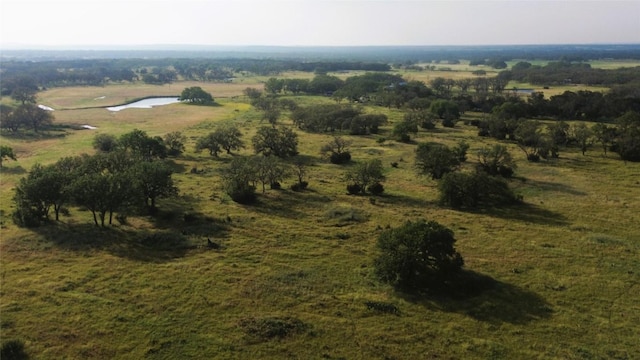 236 Blackbuck Ridge Dr, Lampasas, TX 76550 - photo 9