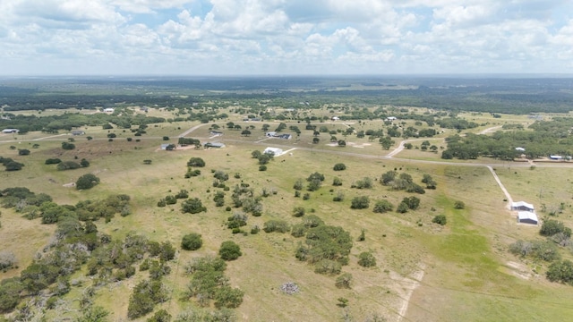 236 Blackbuck Ridge Dr, Lampasas, TX 76550 - photo 4