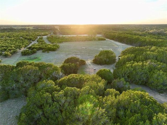 LOT36 Donnie Dr, Lampasas, TX 76550 - photo 1
