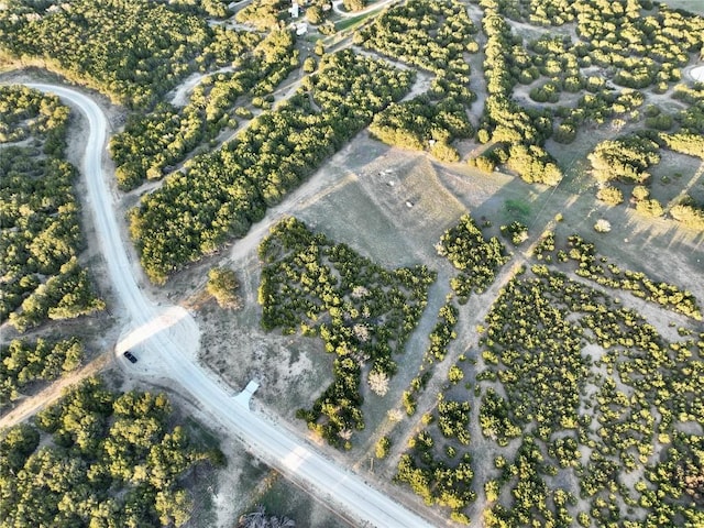 LOT36 Donnie Dr, Lampasas, TX 76550 - photo 2