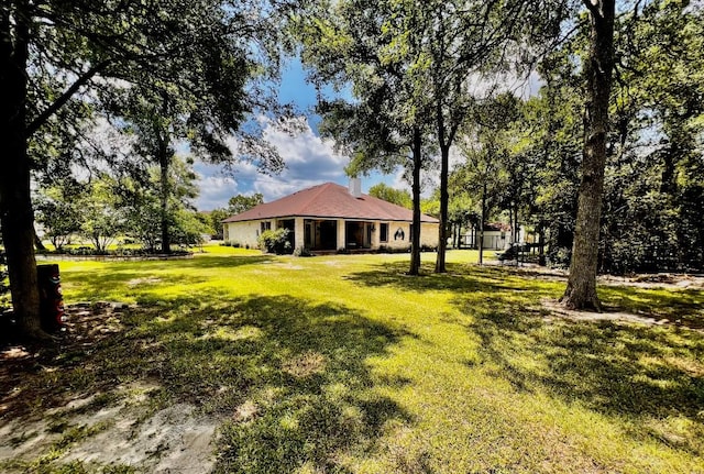 106 Hobbs Creek Cv, Cedar Creek, TX 78612 - view of grassy yard