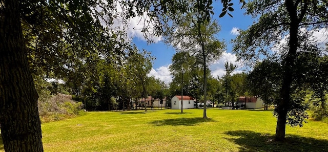 106 Hobbs Creek Cv, Cedar Creek, TX 78612 - view of community with a yard, view of scattered trees, and a shed