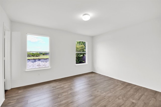 13124 Winecup Mallow Trl, Elgin, TX 78621 - empty room with wood finished floors