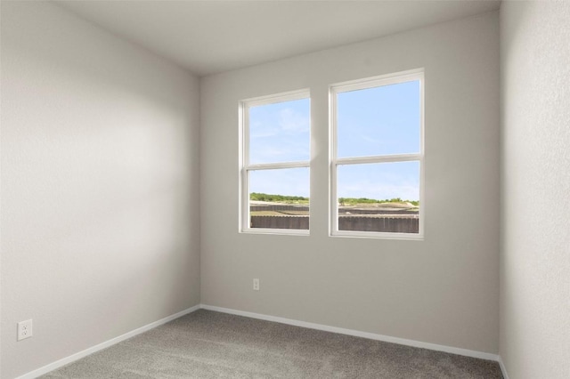2814 Steels Rd, Pflugerville, TX 78660 - photo 28