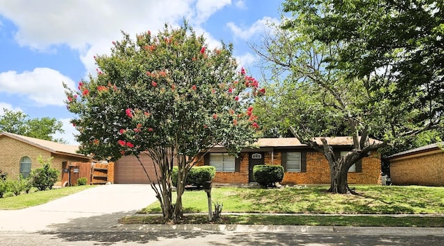 917 Edwards St S, Copperas Cove, TX 76522 - ranch-style house featuring driveway, a front yard, brick siding, and an attached garage