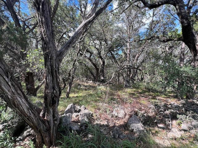 1127 Whitetail Dr, Dripping Springs, TX 78620 - photo 9
