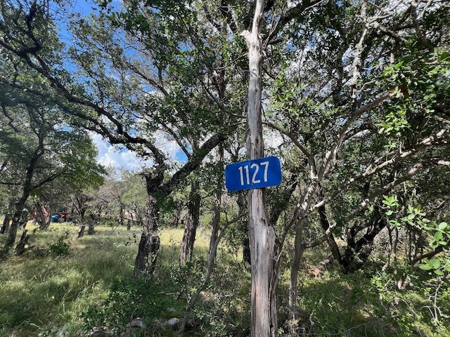 1127 Whitetail Dr, Dripping Springs, TX 78620 - photo 28