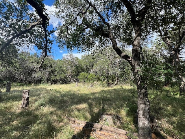 1127 Whitetail Dr, Dripping Springs, TX 78620 - photo 30
