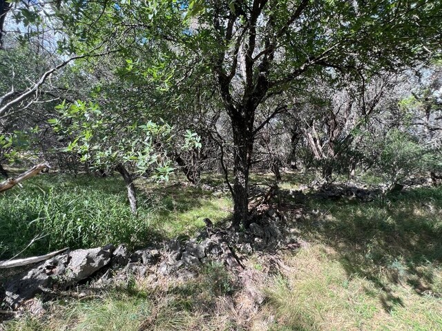 1127 Whitetail Dr, Dripping Springs, TX 78620 - photo 31