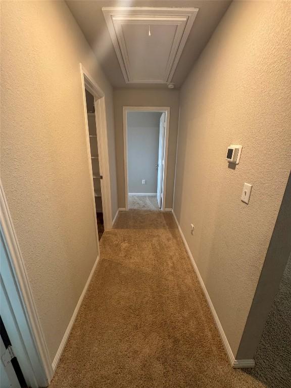 107 Hamilton Pool Ln, Bastrop, TX 78602 - photo 25