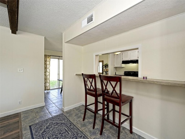 100 Lido Cir Unit A1, Lakeway, TX 78734 - kitchen featuring a textured ceiling, under cabinet range hood, a kitchen bar, and stove