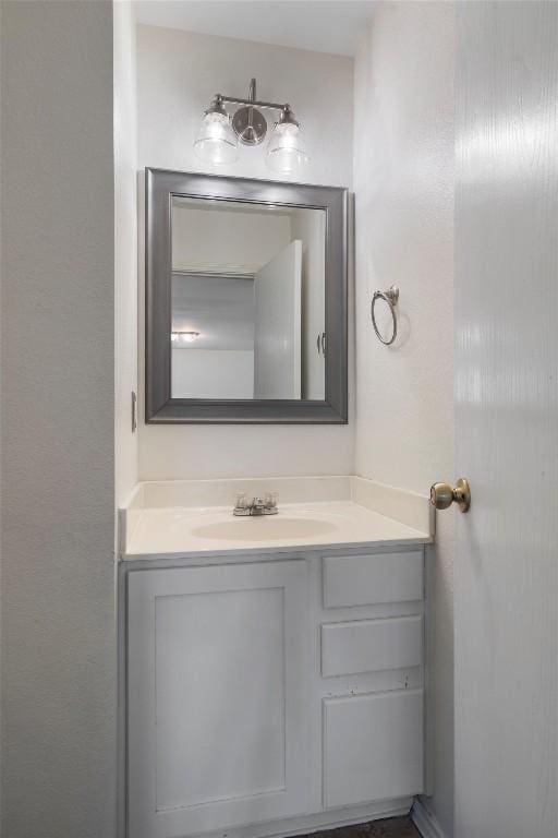 509 Red Tailed Hawk Dr, Pflugerville, TX 78660 - bathroom with vanity