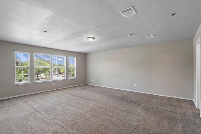 509 Red Tailed Hawk Dr, Pflugerville, TX 78660 - unfurnished room featuring a textured ceiling and carpet flooring