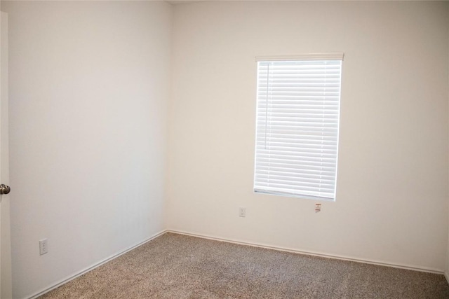 13801 Tordillo Dr, Elgin, TX 78621 - carpeted empty room featuring healthy amount of natural light