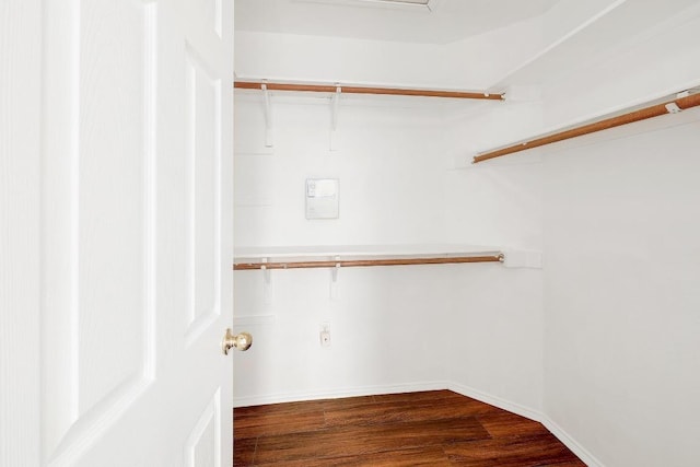 1505 Thibodeaux Dr, Round Rock, TX 78664 - spacious closet with dark wood-style floors