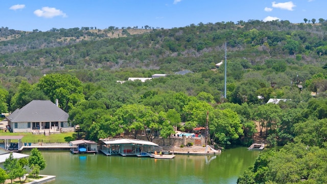 1005 Terry Ln, Kingsland, TX 78639 - view of subject property featuring a forest and a nearby body of water