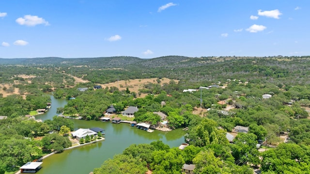 1005 Terry Ln, Kingsland, TX 78639 - drone / aerial view of a nearby body of water and a forest