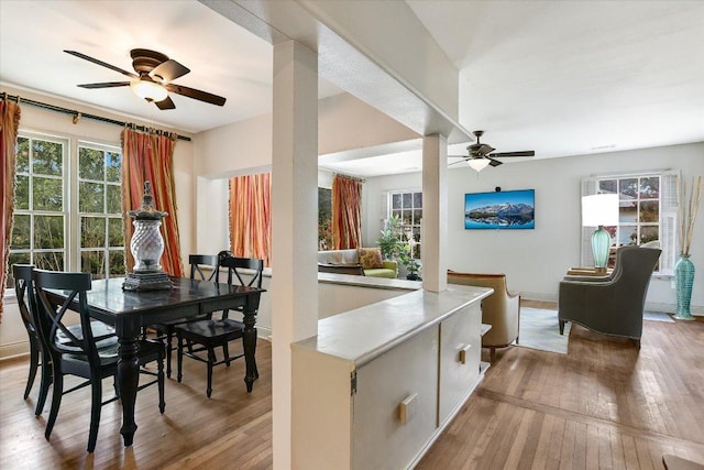 1410 Burford Pl, Austin, TX 78704 - dining space with ceiling fan and wood-type flooring