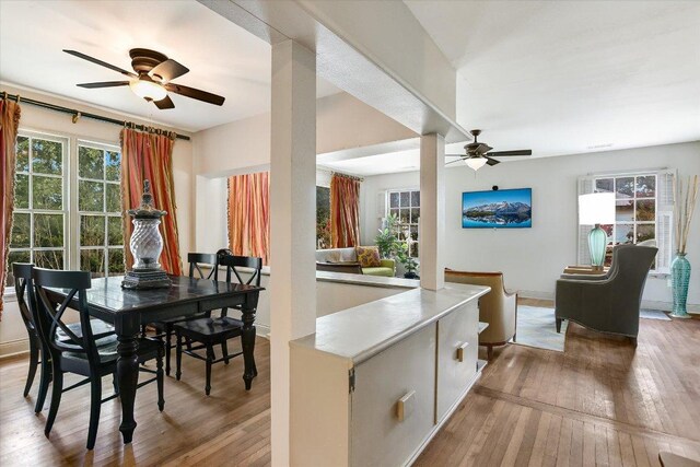 1410 Burford Pl, Austin, TX 78704 - photo 10