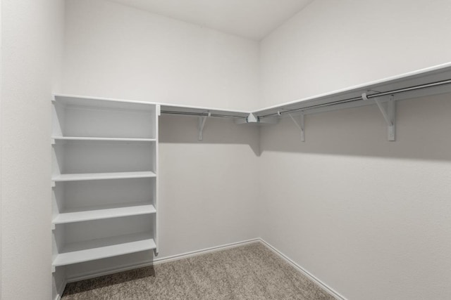 3715 Liberi Ln, Round Rock, TX 78665 - spacious closet featuring carpet floors