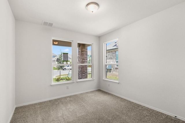 3715 Liberi Ln, Round Rock, TX 78665 - carpeted empty room featuring healthy amount of natural light