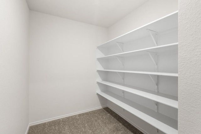 3715 Liberi Ln, Round Rock, TX 78665 - view of pantry