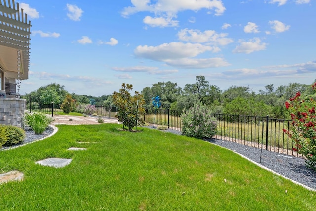 306 Iron Rail Ln, Georgetown, TX 78633 - view of yard