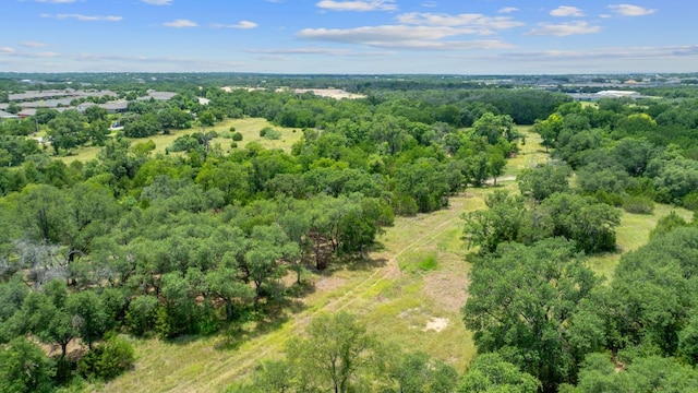 306 Iron Rail Ln, Georgetown, TX 78633 - drone / aerial view of a heavily wooded area
