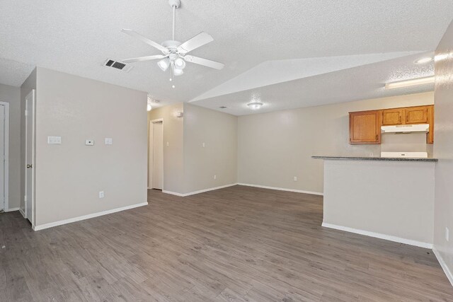 12323 Alderbrook Dr, Austin, TX 78758 - unfurnished living room with lofted ceiling, a ceiling fan, wood finished floors, and a textured ceiling