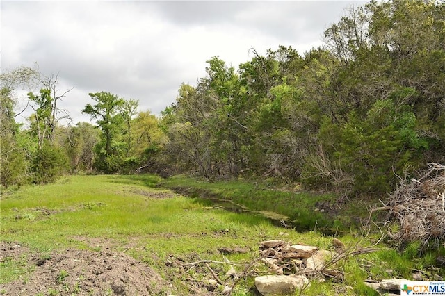1290 County Road 4765, Kempner, TX 76539 - photo 14