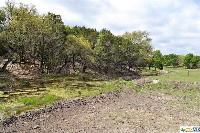 1290 County Road 4765, Kempner, TX 76539 - photo 18